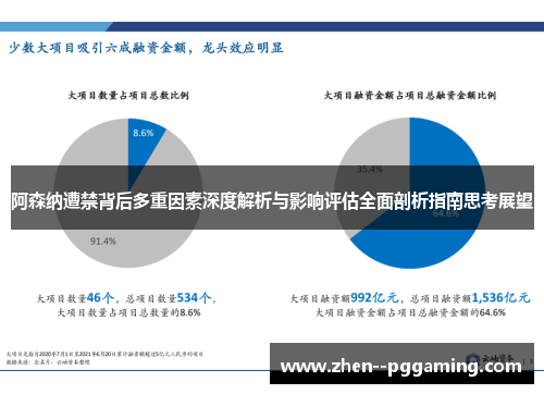 阿森纳遭禁背后多重因素深度解析与影响评估全面剖析指南思考展望