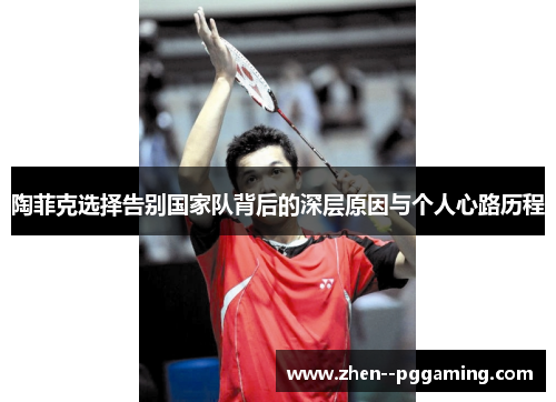 陶菲克选择告别国家队背后的深层原因与个人心路历程